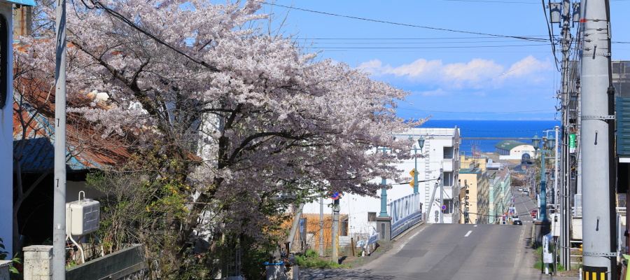 船見坂は函館の観光名所