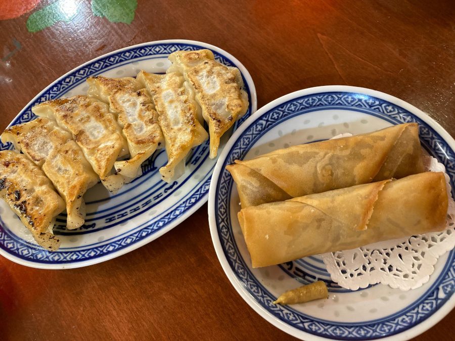 餃子と春巻き